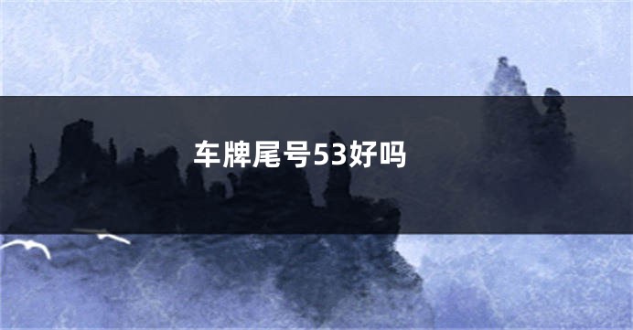 车牌尾号53好吗