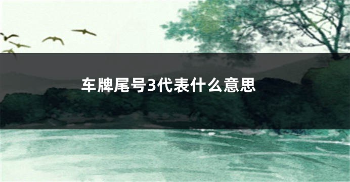 车牌尾号3代表什么意思