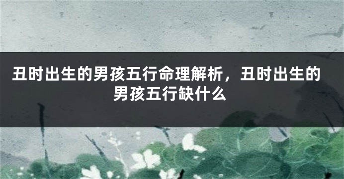 丑时出生的男孩五行命理解析，丑时出生的男孩五行缺什么
