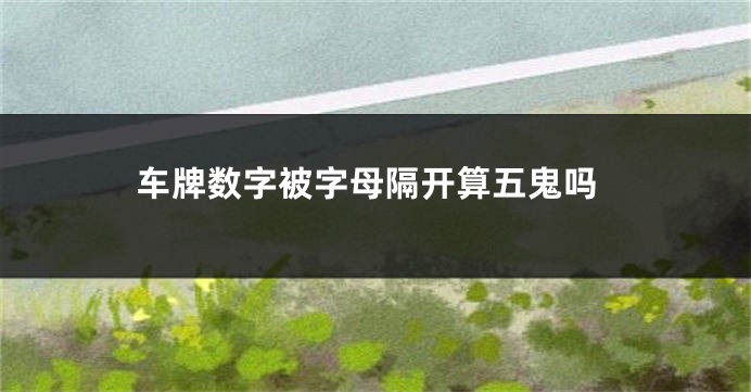 车牌数字被字母隔开算五鬼吗
