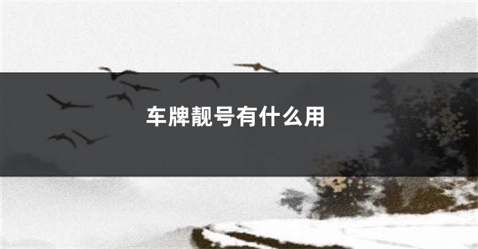 车牌靓号有什么用