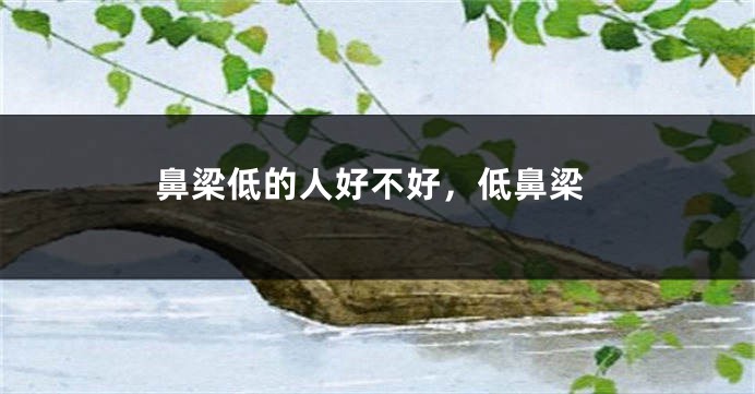 鼻梁低的人好不好，低鼻梁