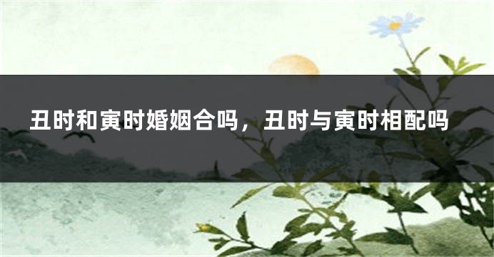 丑时和寅时婚姻合吗，丑时与寅时相配吗