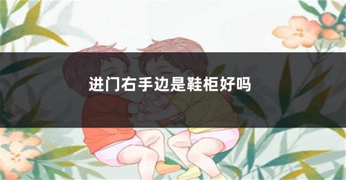 进门右手边是鞋柜好吗