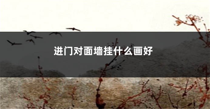 进门对面墙挂什么画好