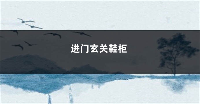 进门玄关鞋柜