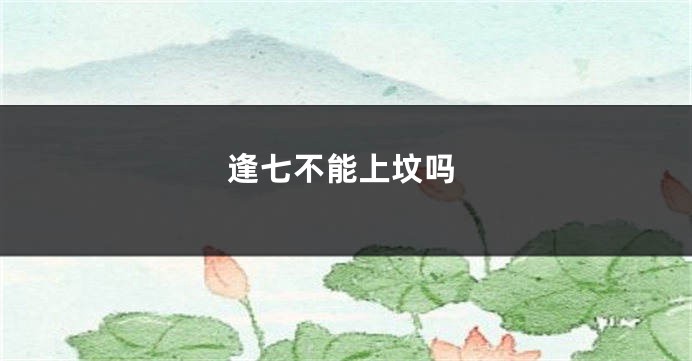 逢七不能上坟吗