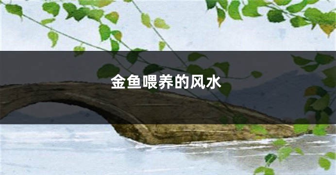 金鱼喂养的风水