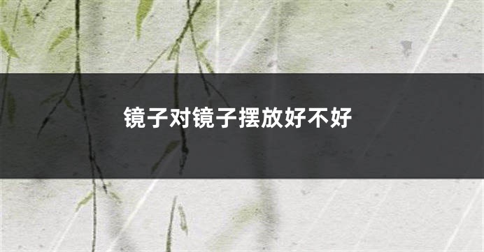 镜子对镜子摆放好不好