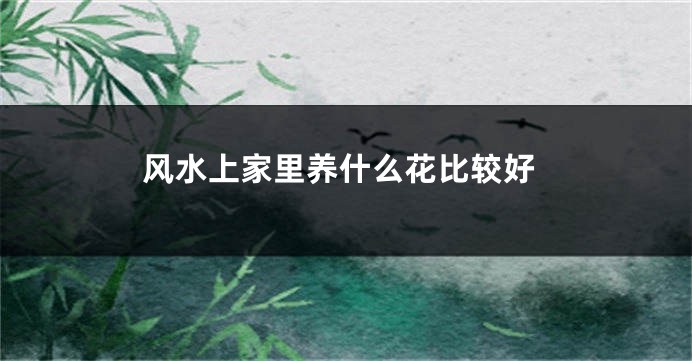 风水上家里养什么花比较好