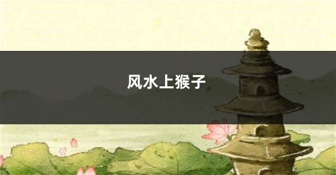 风水上猴子