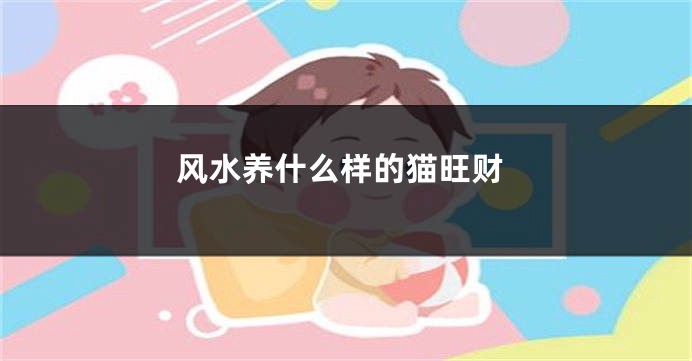 风水养什么样的猫旺财