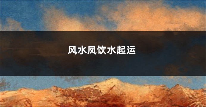 风水凤饮水起运