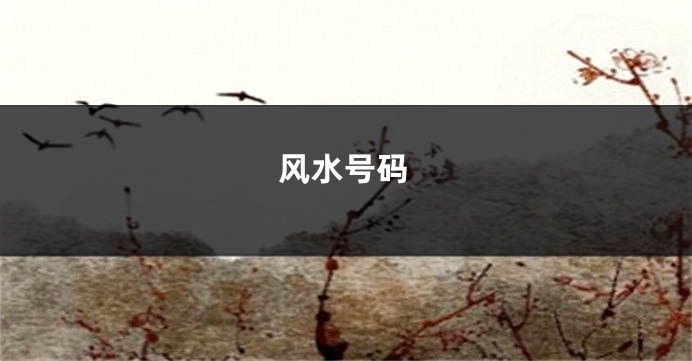 风水号码