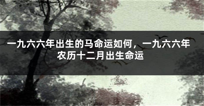 一九六六年出生的马命运如何，一九六六年农历十二月出生命运