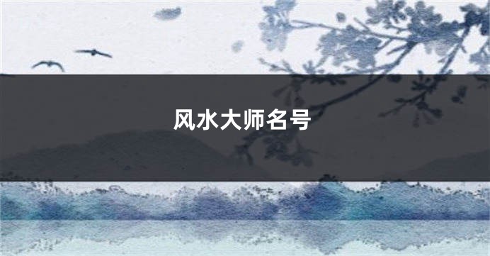 风水大师名号