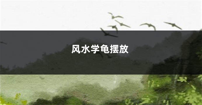 风水学龟摆放