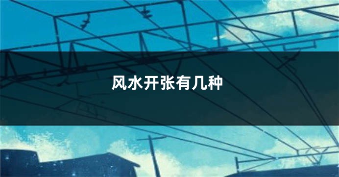 风水开张有几种