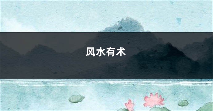 风水有术