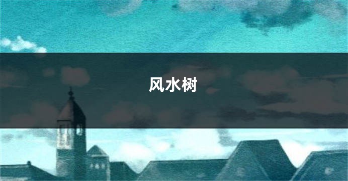 风水树