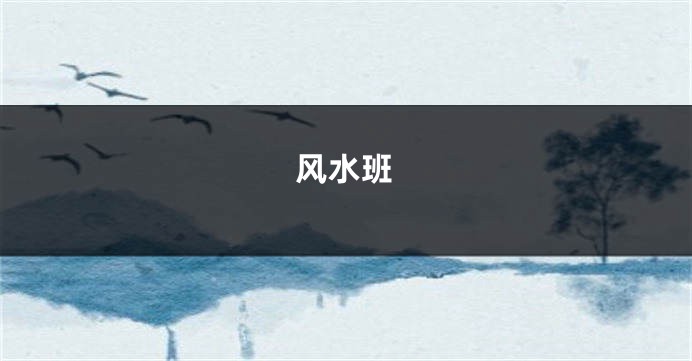 风水班