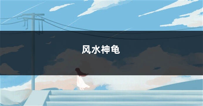 风水神龟