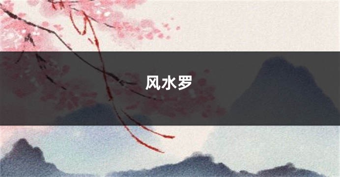 风水罗