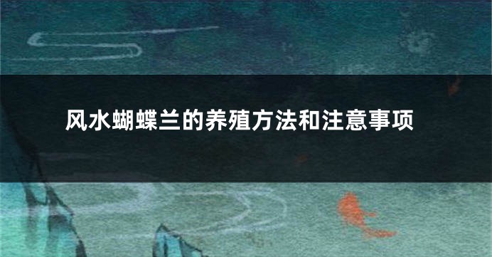 风水蝴蝶兰的养殖方法和注意事项
