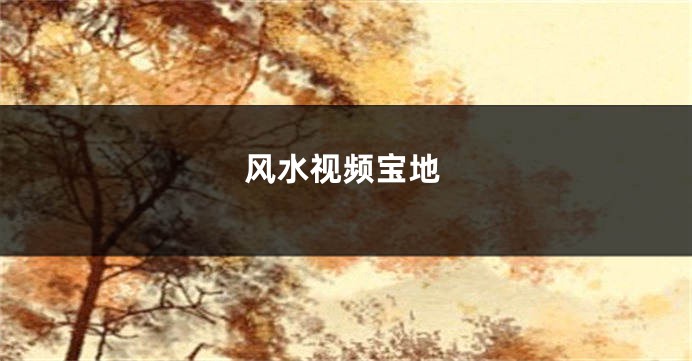 风水视频宝地