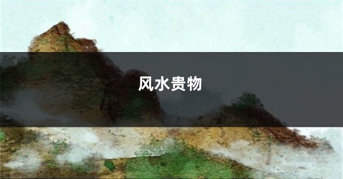 风水贵物