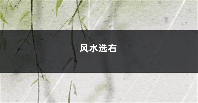 风水选右