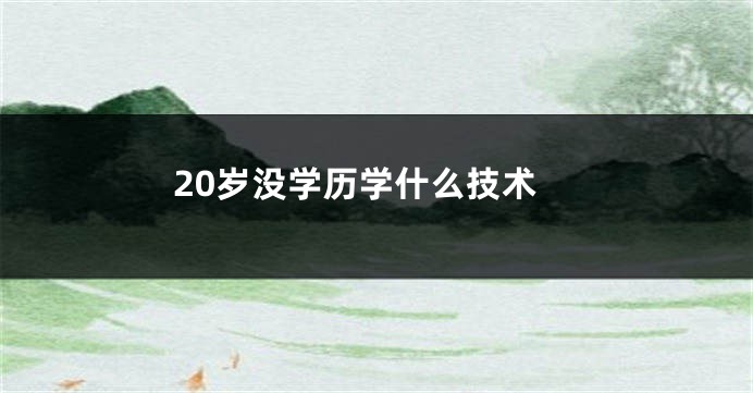 20岁没学历学什么技术