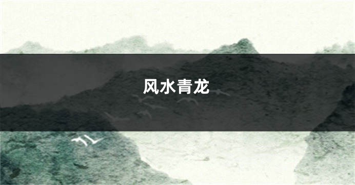 风水青龙