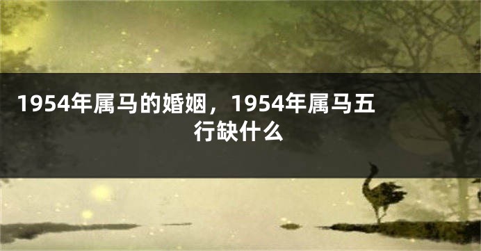 1954年属马的婚姻，1954年属马五行缺什么