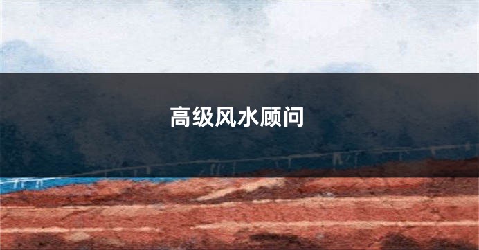 高级风水顾问