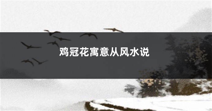 鸡冠花寓意从风水说