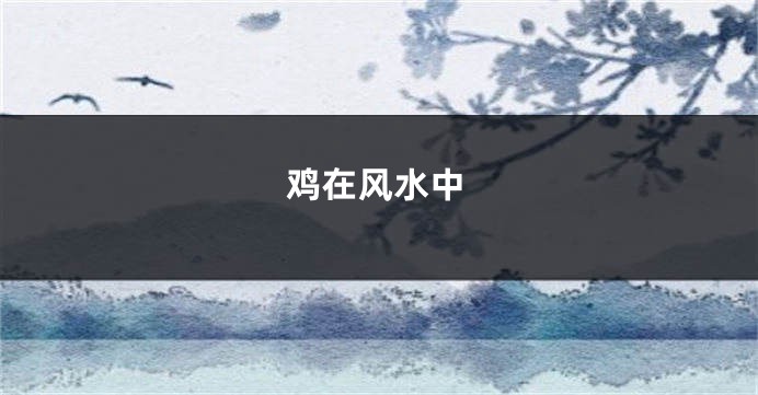 鸡在风水中