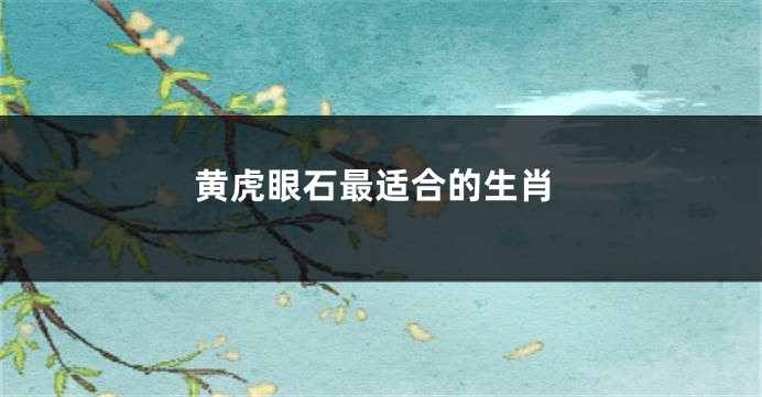 黄虎眼石最适合的生肖