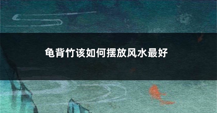 龟背竹该如何摆放风水最好