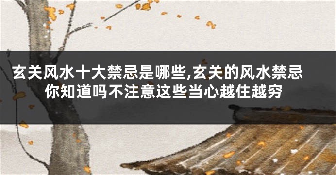 玄关风水十大禁忌是哪些,玄关的风水禁忌你知道吗不注意这些当心越住越穷