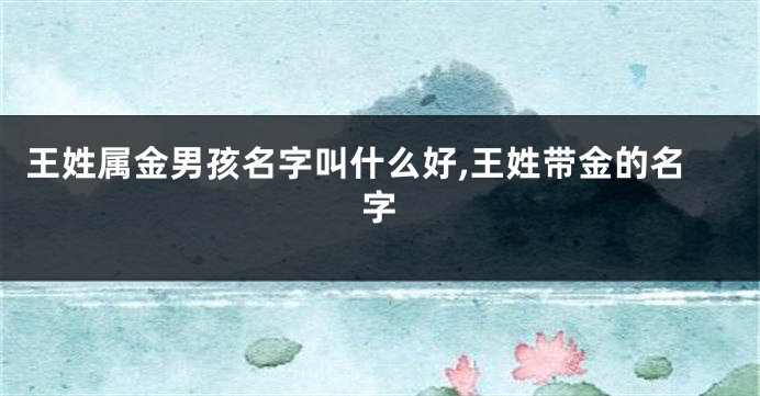 王姓属金男孩名字叫什么好,王姓带金的名字