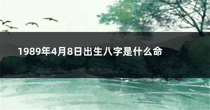 1989年4月8日出生八字是什么命