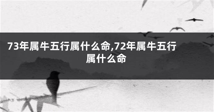 73年属牛五行属什么命,72年属牛五行属什么命