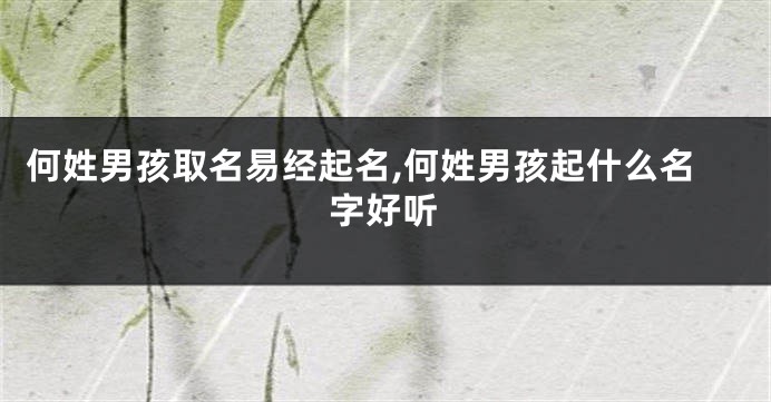 何姓男孩取名易经起名,何姓男孩起什么名字好听