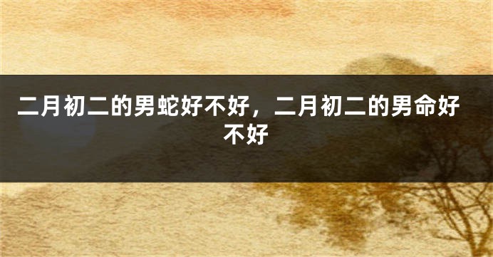二月初二的男蛇好不好，二月初二的男命好不好