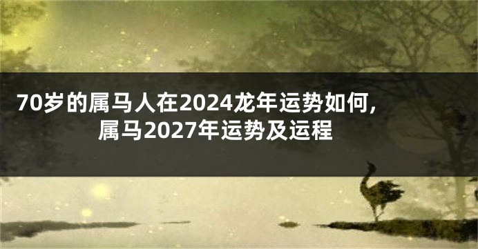 70岁的属马人在2024龙年运势如何,属马2027年运势及运程