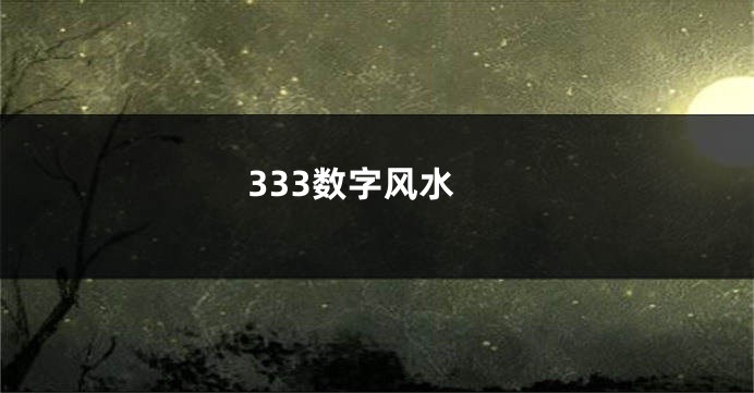 333数字风水