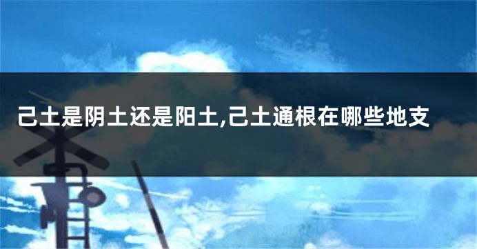 己土是阴土还是阳土,己土通根在哪些地支