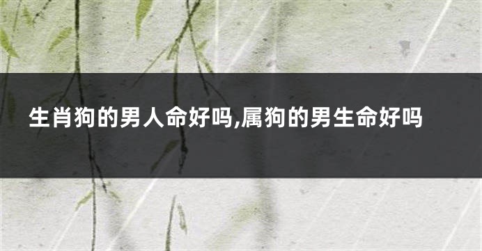 生肖狗的男人命好吗,属狗的男生命好吗