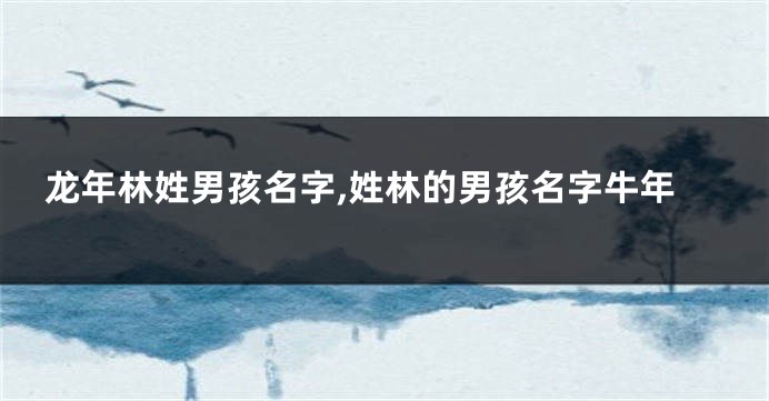 龙年林姓男孩名字,姓林的男孩名字牛年